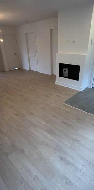 4 1/2 Brownsburg-Chatham - Photo 1