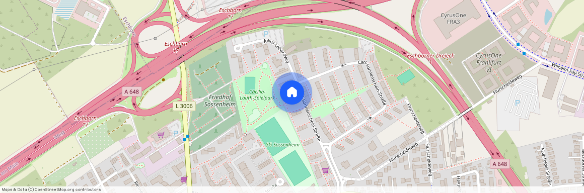 Carl-Sonnenschein-Straße 88, 65936, Frankfurt Am Main