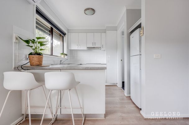 4/291 Church St Herne Hill - Photo 1