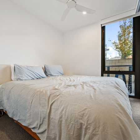 Chic ground floor unit in sought after Kingston location - Photo 2