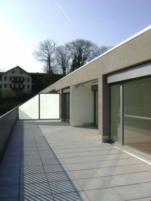 Sonnige, moderne 3,5-Zimmer-Attikawohnung mit grosser Terrasse - Photo 1