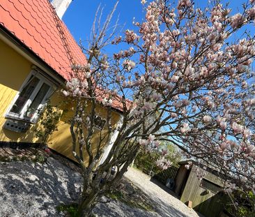 Hassleberga, Lund - Photo 5