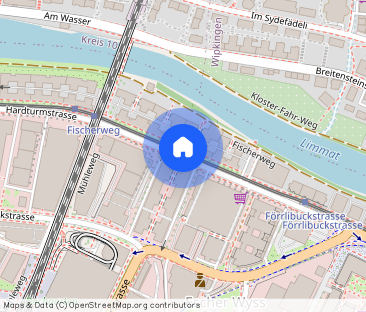 2.5 Zimmer, 67 m², 19. Stock - Foto 1