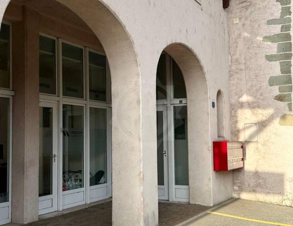 Charmant Appartement - Genolier - Foto 1