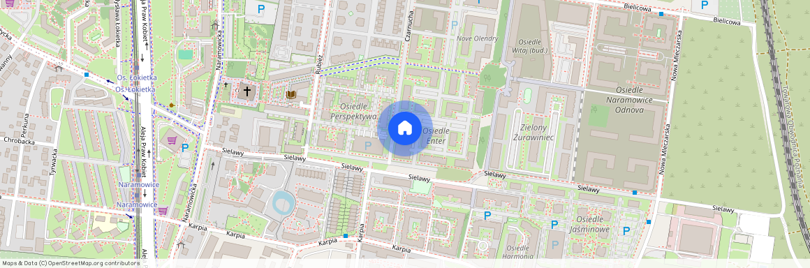 ul. Sielawy, Naramowice, Stare Miasto, Poznań, wielkopolskie