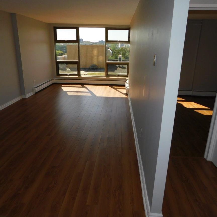 FOR RENT – 6369 Coburg Road, Suite 507, Halifax, Nova Scotia - Photo 1