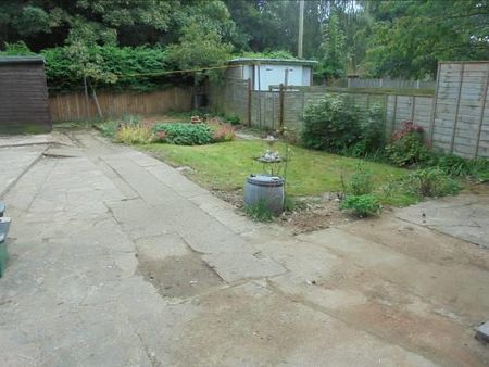 Pettus Road - Photo 5