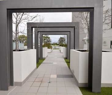 SIX MONTH LEASE ONLY - APARTMENT LIVING - LUXURY 1x1!!! - Photo 1