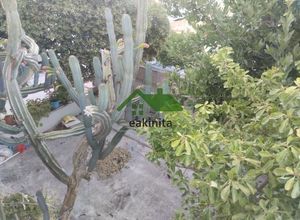 Διαμέρισμα για ενοικίαση - Σπάτα - Photo 4