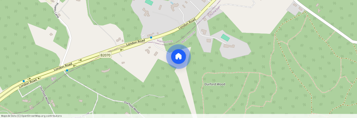 Durford Wood, Petersfield, Hampshire, GU31