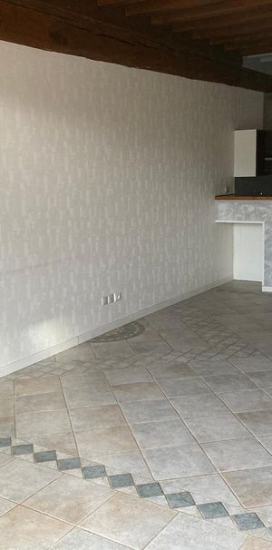 Location Appartement 1 pièce 47m² LUGNY 71260 - Photo 1