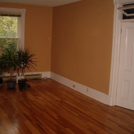 2 bedroom apartment - Photo 4