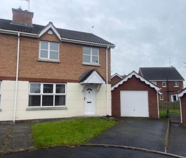 164 Kernan Hill Manor, Portadown, Craigavon, BT63 5WU - Photo 4