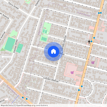 22 Haig Ave, Mount Roskill, Auckland City