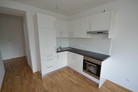 Annenviertel – 41 m² – 2 Zimmer-Wohnung – Studenten oder Singlewohnung - Foto 4