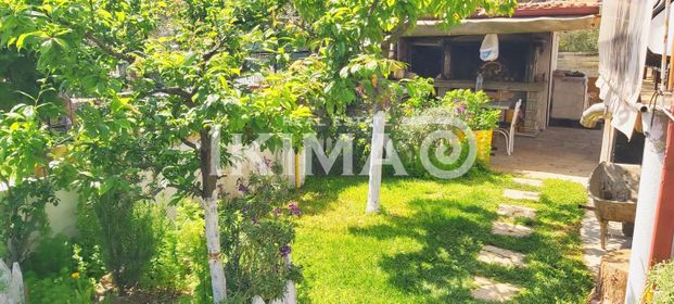 Μονοκατοικία για ενοικίαση Παραλία Νέας Τριγλίας (Τριγλία) - Φωτογραφία 1
