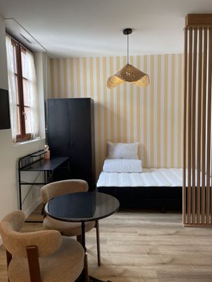 Location Appartement 1 pièce 15m² RENNES 35000 - Photo 1