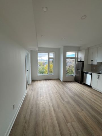 123 Harvey St #1, Ottawa, ON K1S 0A8 - Photo 4