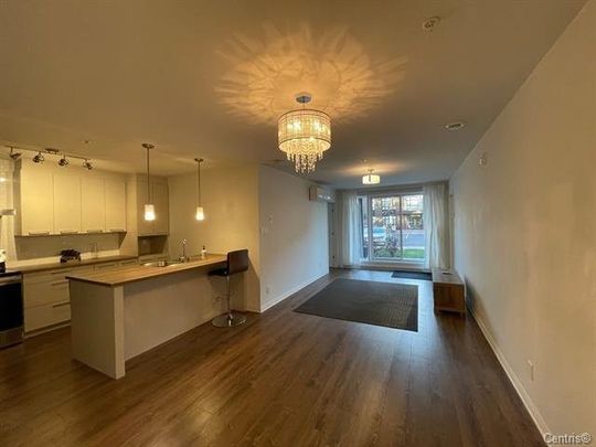 3171 Boul. de la Gare, #108 - Photo 1