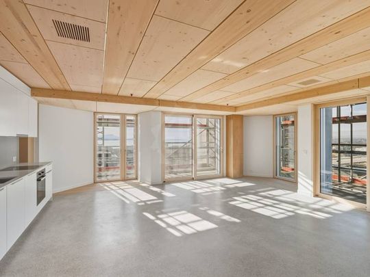 4.5 Zimmer, 105 m², 9. Stock - Foto 1