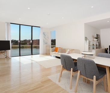 203C/1 The Concourse, Benowa QLD 4217 - Apartment For Rent | Domain - Photo 1