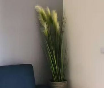 Avenida de Fernão de Magalhães, Porto, Braga 4350-163 - Photo 5