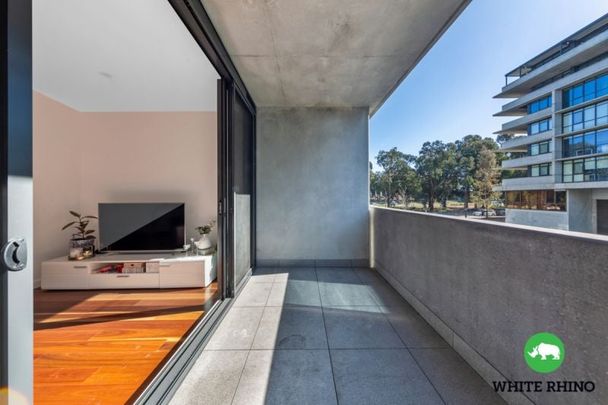 333/2 Anzac Parade, Campbell - Photo 1