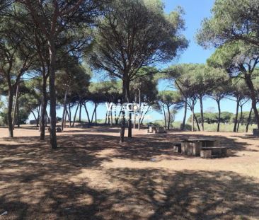 Apartamento en alquiler en Calle de Miguel de Cervantes - Foto 5