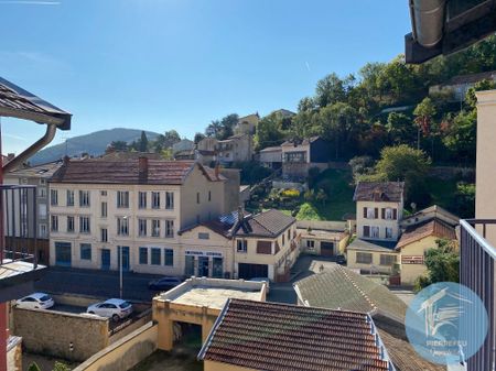 Location Appartement 3 pièces 57m² TARARE 69170 - Photo 3