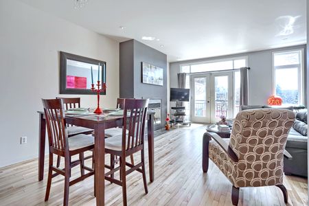 Condo for rent, Montréal (Ville-Marie) - Photo 5