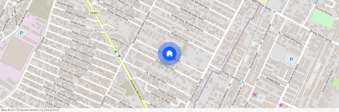 Strada Dealu Bistrii