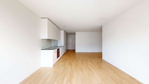 1.5 Zimmerwohnung in St. Gallen - Photo 1