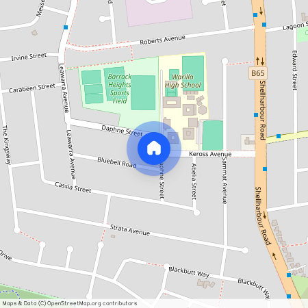 11A Daphne Street, NSW 2528, Barrack Heights