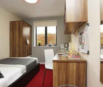 Classic En-Suite Lower Ground Floor, Behn Hall - Photo 4