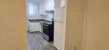 Appartement à louer - Montréal (Rosemont/La Petite-Patrie) (Petite Italie) - Photo 3