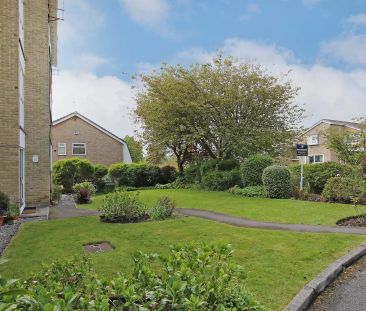 Silverdale Road, Sheffield, S11 - Photo 3