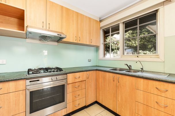 1/4 Raynes Street, Balwyn VIC 3103 - Apartment For Rent | Domain - Photo 1