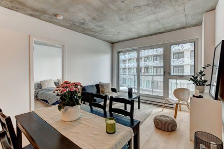 Condo for rent, Montréal (Le Sud-Ouest) - Photo 2