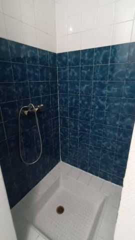 Appartement 1 pièce - 69003 Lyon 3e Arrondissement - Photo 4