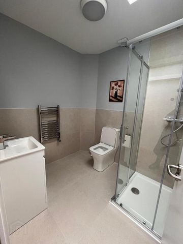 Castle Street, County Roscommon, F42 YR74, Roscommon Town - Photo 5