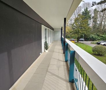 Résidence du Parc - Appartement de 4/5 pièces Le Chesnay Rocquencou... - Photo 6