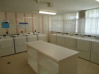 55 Brownlow Avenue - Photo 5