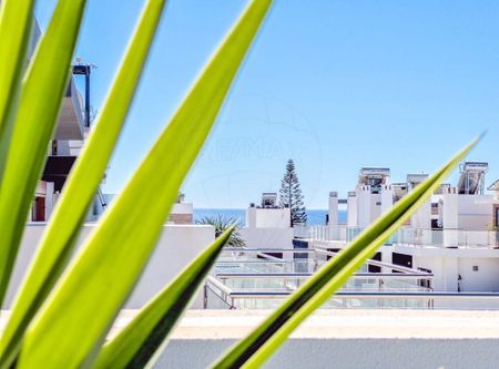 Faro, Faro 8700 - Photo 2