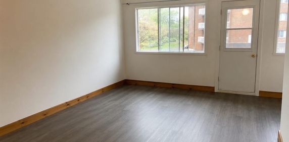 565 Rue De Pointe Gatineau (Gatineau) Très Beau Logement D’une Chambre à Coucher - Photo 2