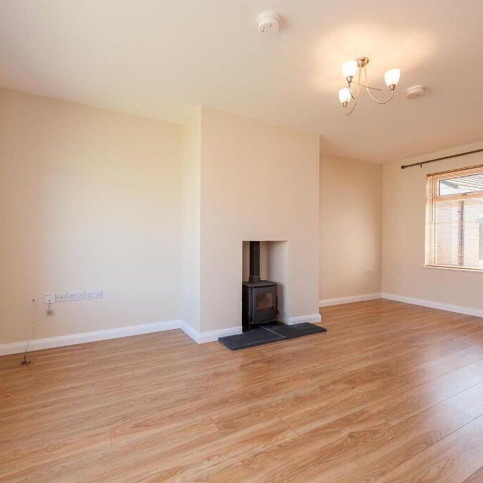 10 St Patricks Way, Downpatrick, BT30 7DJ - Photo 1