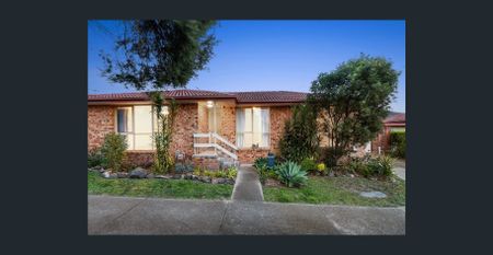 Packed with Charm - Photo 2