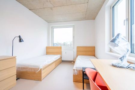 Pronájem nového moderního bytu 4+1 68 m2 v centru na Gočárově třídě - Photo 3