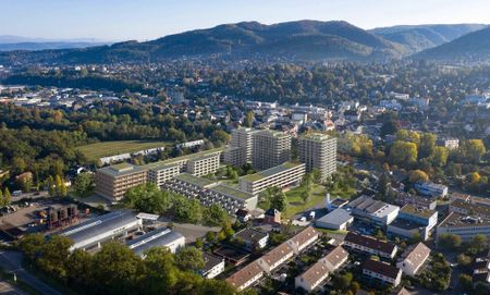 Erstvermietung mit Blick übers Baselbiet - Foto 2