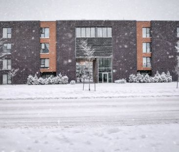 Appartement à louer - Photo 3