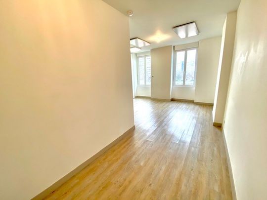 Location Appartement 1 pièce 31m² VILLEURBANNE 69100 - Photo 1